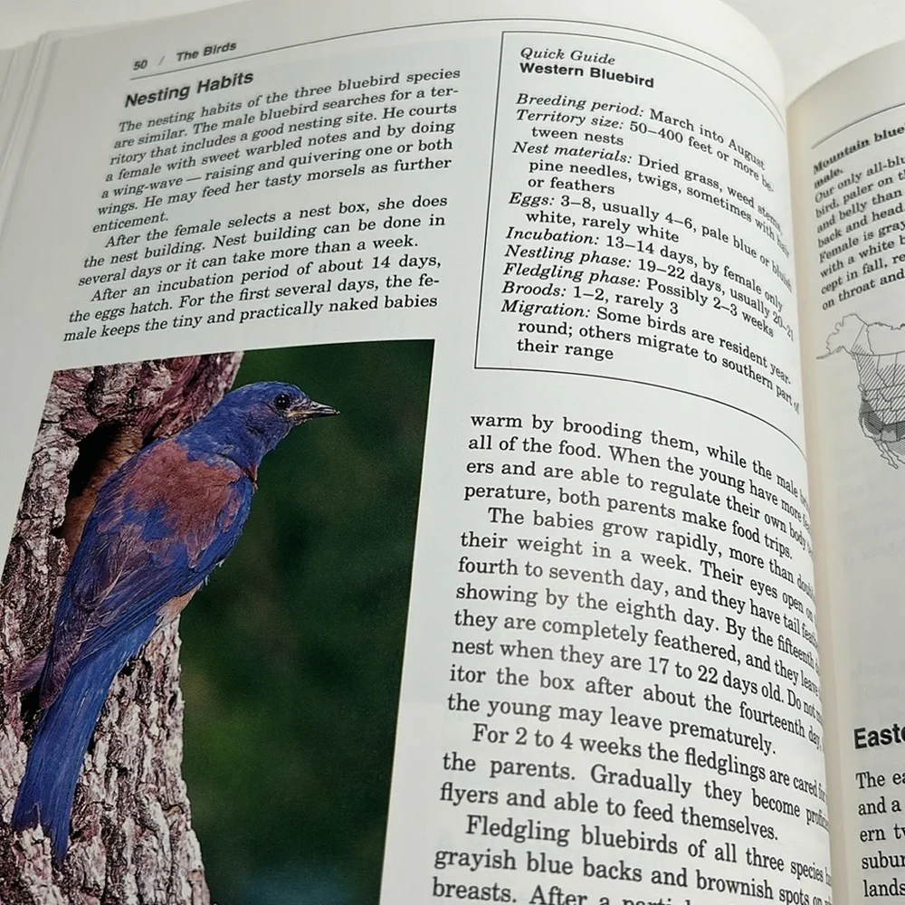 💕 Complete Birdhouse Book The Easy Guide To Attracting Nesting Birds - Picture 11 of 16